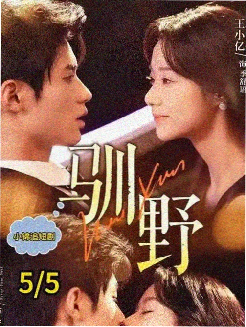 双线叙事类题材图鉴示意